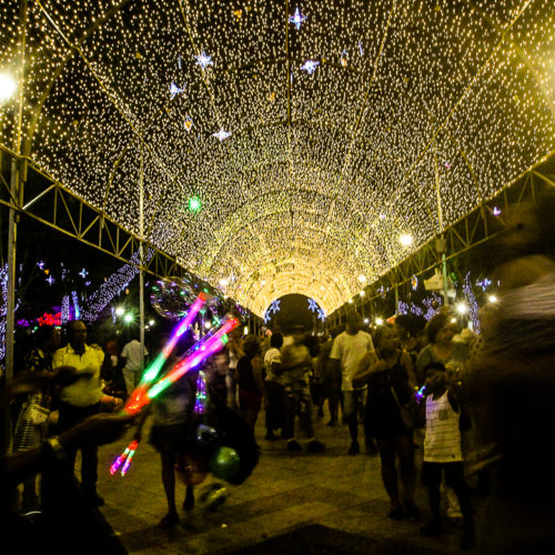 Decoração de Natal no Campo Grande. Foto: Amanda Oliveira.