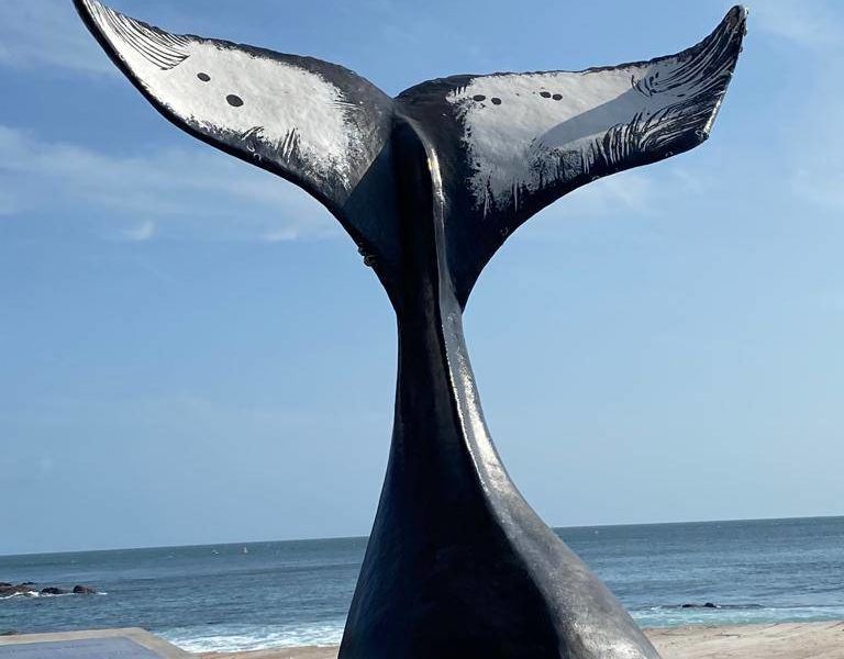 Banner - Esculturas celebram observação de baleias em Salvador